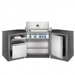 Cuisine Extérieure Napoleon Oasis 200 Avec Barbecue BIPRO 500