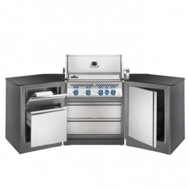 Cuisine Extérieure Napoleon Oasis 200 Avec Barbecue BIPRO 500 1 Cuisine Extérieure Napoleon Oasis 200 Avec Barbecue BIPRO 500