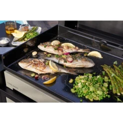 Plancha électrique Forge Adour PREMIUM 60 Acier Noir Et Gris -Art du Grill cuisson plancha premium 1